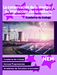 CONSERVACIÓN DE LA ENERGÍA Y SUS INTERACCIONES CON LA MATERIA 25 NEM